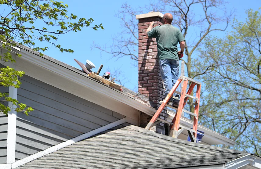 Chimney & Fireplace Inspections Services in Casa de Oro-Mount Helix, CA